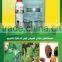 EGYPT Egypt organic agriculture Pesticides