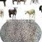 300-800 kgs per hour forest waste cattle feed pellet mill
