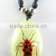 Babys Favorite Gift Customized Insects Amber Teething Pendant Necklace Jewelry