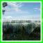 High quality agriculture used green knitted anti hail net with low price