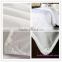 Soft and comfortable hotel for star luxury goose down quilt
