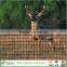 Plastic deer enclosure mesh netting
