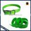 Top quality hot selling fluorescent TPU dog collar!