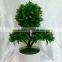 indoor decoration mini xmas tree mini artificial fake plastic Tree