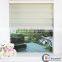 Modern home decor zebra rolling window shutters