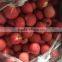 shaanxi fuji apple