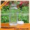 8oz French Square Glass Bottles With Plastic Screw Cap