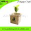hot new product eco friendly magic message bean for home office decoration