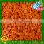 IQF frozen carrot,frozen diced carrot for sale