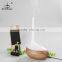 GX Diffuser 2016 ultrasonic aroma diffuser/perfume diffuser/car aroma diffuser