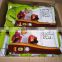 Energy Health Chocolate Drink vol 1 kg Health Fiber Drink Wholesale and Bulk Supply RILA COCOA Chocolate Drink 1kg Pouch Bag