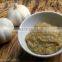 Garlic Paste