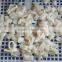 FGB-118 Auomatic Squid Ring Cutting Machine, Squid Rings Slicing Machine, Squid Cutter