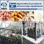 SIDA10T,20T,30T 50T,100T sweet potato starch processing machine/sweet potato starch extruding production line