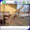 XLS type conveying machine shaftless spiral conveyor