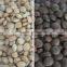 Hot sales automatic CCD nut color sorting mahchine