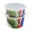 In Mold Label Plastic Yogurt Container Packaging,Cheap Frozen Yoghurt Pot Manufacturers