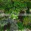 Artificial plants blocks for wall hanging decoration