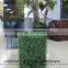Indoor artificial plastic boxwood hedge for decoration