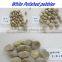 mexican beach pebbles/flat pebbles/rain flower pebble
