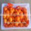 Yongchun kinndow citrus oranges fresh mandarin orange citrus fruit