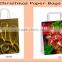 paper gift bags with rope handles / Printed Gift paper bags