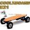 800W Electric Powered Skateboard