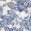 Hangzhou Printed Blue and White Porcelain Fabric Paisley 100% Pure Silk Chiffon Fabric