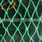 Agricultural nylon trapping birds bird netting