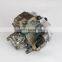Cheap Good ISB ISD QSB Diesel Engine Fuel Injection Pump 0445020241 5311830