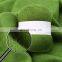 Wholesale High-quality Anti-pilling 50g Cashmere Yarn for Knit Sweater