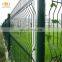 Swimming pool steel peach post welded high quality wire mesh fence
