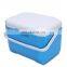 Custom Portable 8 Liter Insulated Cooler Box Plastic Ice Cooler With Handle