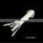 Dark Luminous Night Glowing 10.5cm/8.5g Fishing Lure Soft Bait Squid octopus lure