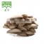 Factory supply oyster mushrooms  extract