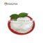 Compound Leavening Agent Aluminum-free Double-acting Baking Powder For Frozen and Bakery Food
