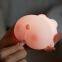 EGOGO Kawaii Christmas Pig Mini Night Light Portable Food Grade Silicone Smart Animal Touch Lamp for Children and Toddlers