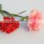 good quality carnation cut flower prices