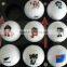multifuction 3D Printer/diy mugs,golf balls printer for sale
