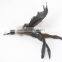 Cat teaser rod wand