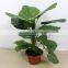 wholesale artificial tree/artificial plant/fake plant