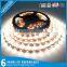 China wholesale light led strip best selling products in europe