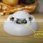 Smoke Detector IP Wireless Network P2P hidden ip camera smoke detector
