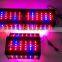 Aluminium Blue Red LED Grow Light/LED Plant Light 300W for Garden