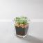 Flora Bunda Outdoor Decor Wholesale Artificial Potted Succulent Plants in glass pot