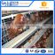 Professional chicken layer cage automatic with great price