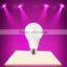 Factory Direct Sale Super Bright LED Bulb 8W