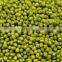 supplying GREEN MUNG BEANS (CHINA)for sale