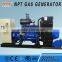 biomass gasification genset 50kw with CE