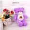 Promotional Custom  Wholesale Mini Graduation Teddy Bear